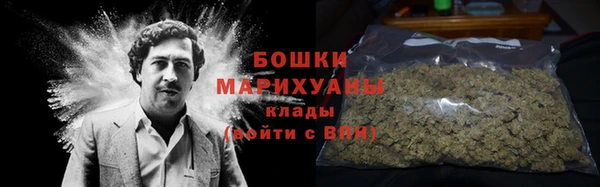 сатива Мегион