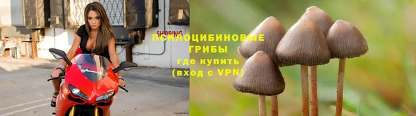 амф Медвежьегорск