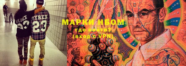 сатива Мегион