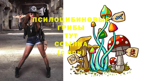 мяу мяу мука Медногорск