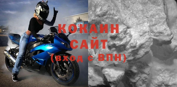 сатива Мегион