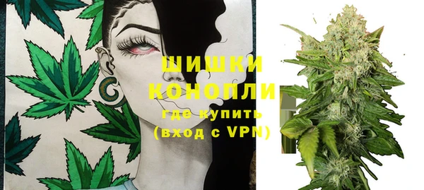 сатива Мегион