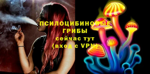 сатива Мегион