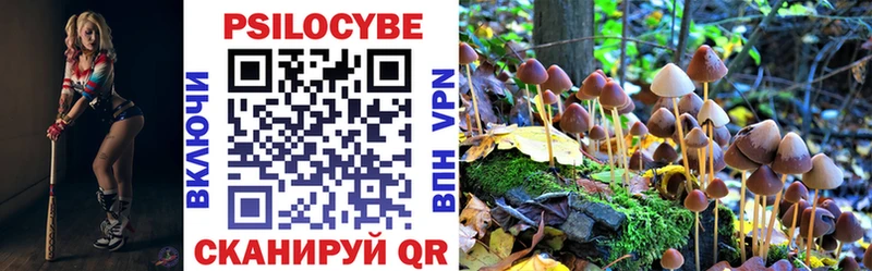 Псилоцибиновые грибы GOLDEN TEACHER  как найти   Сарапул 